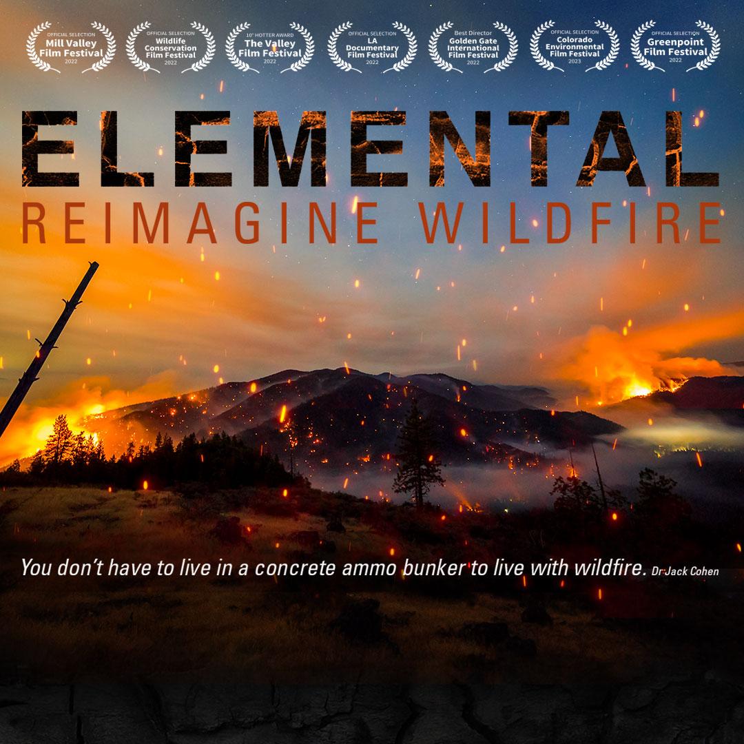 Movie poster for Elemental: Reimagine Wildfire. Photo of mountain with burning forest.