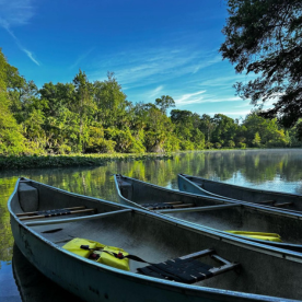 Wekiwa State park